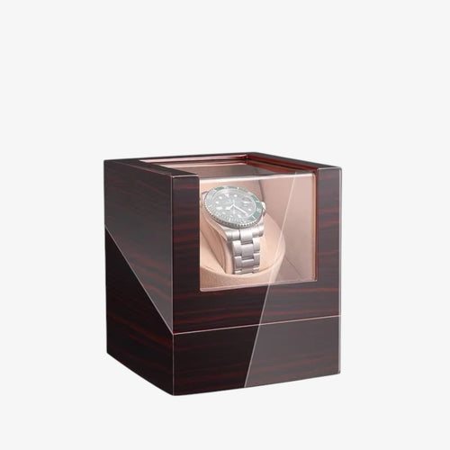 REMONTOIR 1 MONTRE